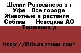 Щенки Ротвейлера в г.Уфа - Все города Животные и растения » Собаки   . Ненецкий АО,Тошвиска д.